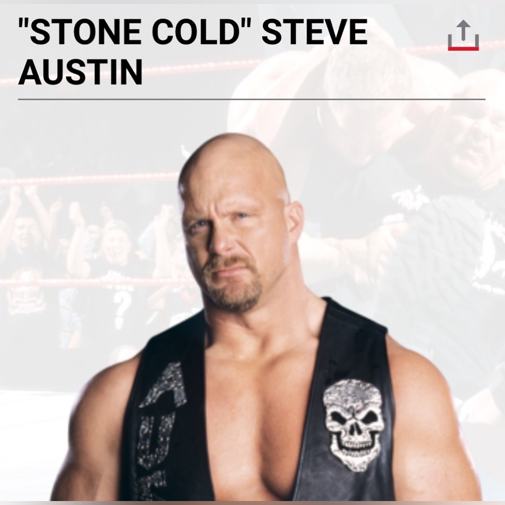 Homemade Stone Cold Steve Austin costume leather vest - WWE.  Couples costume?